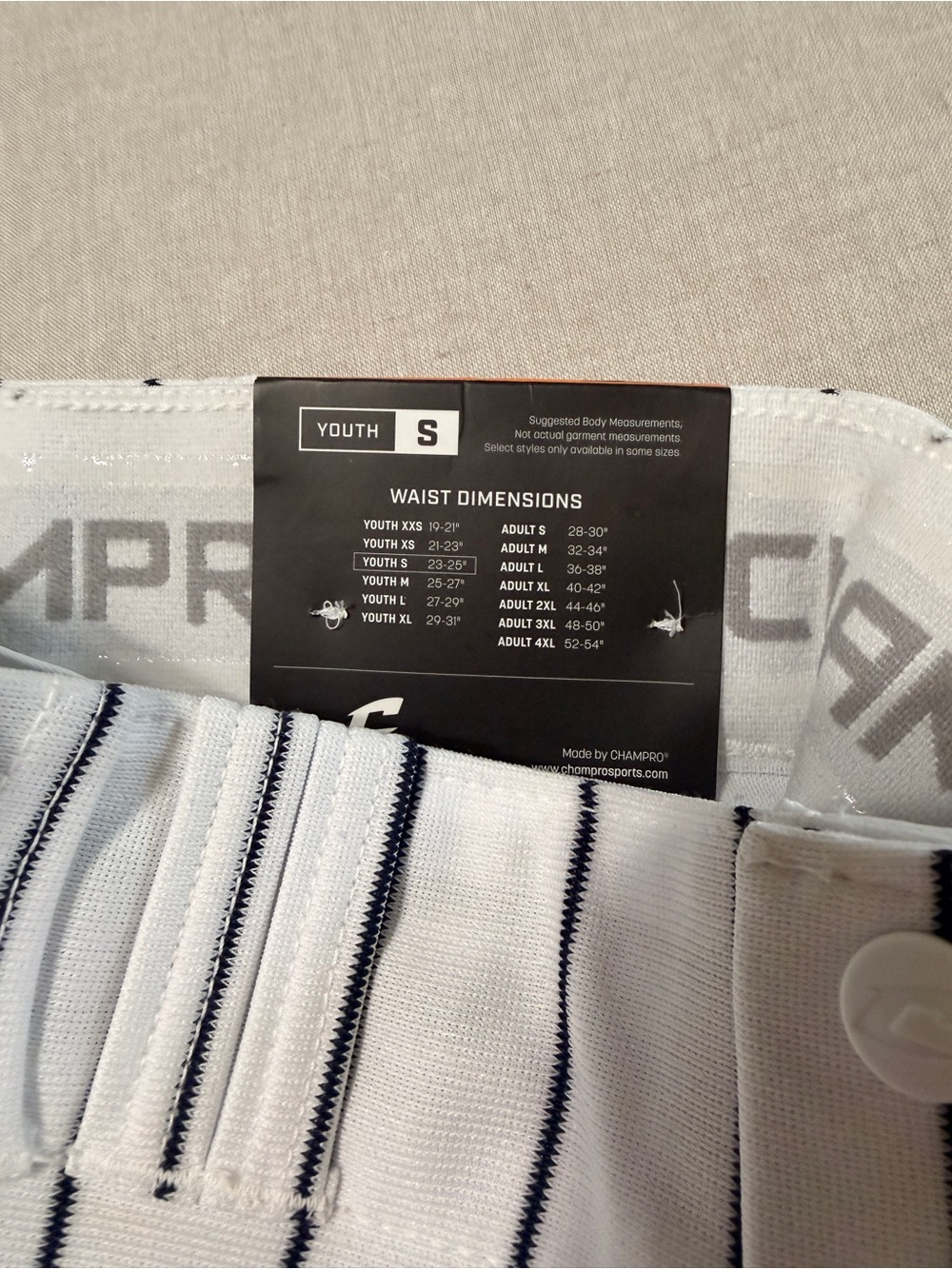 Champro PinStripes Baseball Pants - Picture 4 of 4